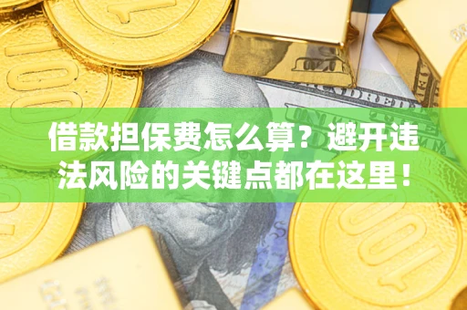 济南借款担保费怎么算？避开违法风险的关键点都在这里！