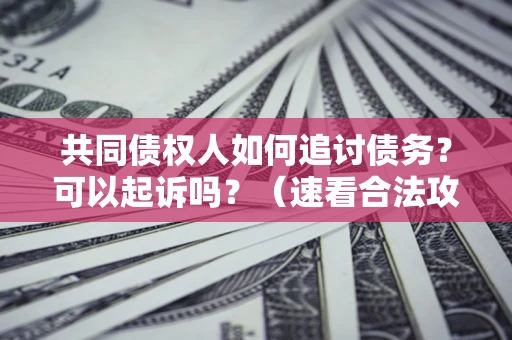 济南共同债权人如何追讨债务？可以起诉吗？（速看合法攻略）